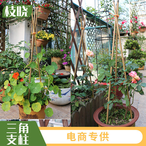 枝晓园艺包塑钢管三角支柱盆栽固定藤蔓西瓜番茄爬藤架花盆支架 阿里巴巴找货神器