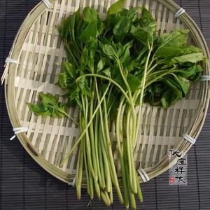 东北特产野生山野菜 刺五加 刺果棒 天然绿色蔬菜 宽甸特产 250g