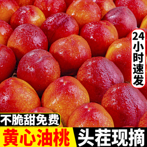 黄心油桃5斤新鲜水果应季当季水蜜脆桃10精选黄肉超甜一整箱包邮
