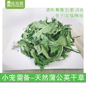 蒲公英干草 清热解毒抗菌消炎 天然 兔子龙猫夏日常备草 50g