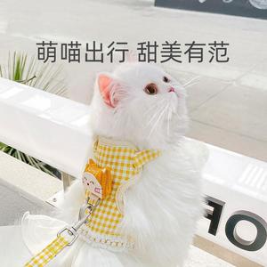 猫咪外出牵引绳中型小型胸背带遛猫绳可爱夏季宠物用品网纱公主裙