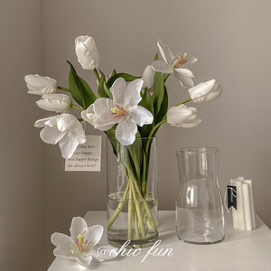 chicfun富贵竹花瓶高级感玻璃透明北欧水培鲜花客厅插花小众摆件