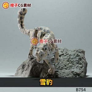 雪豹猫科动物3D打印模型stl文件素材图纸三维源文件手办高精度
