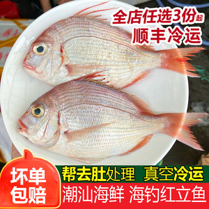 红立鱼新鲜潮汕赤涩鱼冷冻潮汕海鲜水产红鱼海捕海鱼红伴鱼500g
