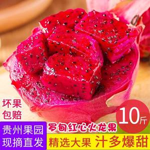 贵州罗甸红心火龙果当季新鲜现摘水果红肉大果密宝整箱十斤包邮