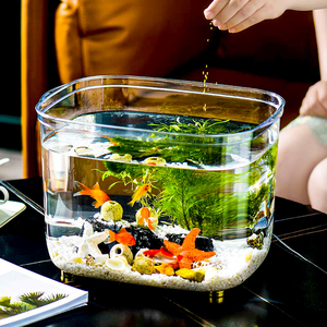 鱼缸客厅小型桌面小鱼缸2022新款水族箱生态塑料金鱼缸水草乌龟缸