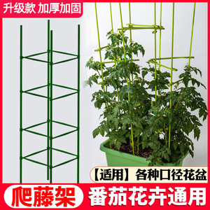 花架爬藤架网庭院西红柿黄瓜植物番茄月季铁线莲种植菜攀爬篱笆架