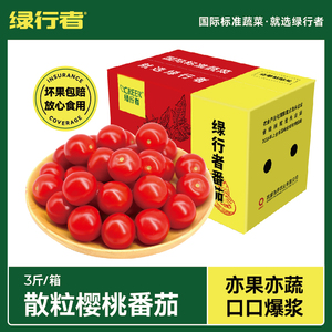 【绿行者】樱桃番茄新鲜蔬菜生吃小西红柿自然熟非圣女果番茄