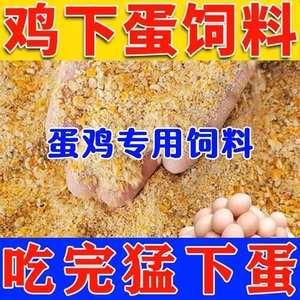 蛋鸡专用饲料产蛋鸡饲料全价料喂鸡玉米碎粒下蛋鸡中大鸡家用鸡食