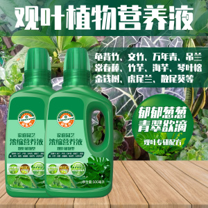 观叶植物通用型营养液专用肥万年青吊兰绿萝家用室内肥料绿植肥料