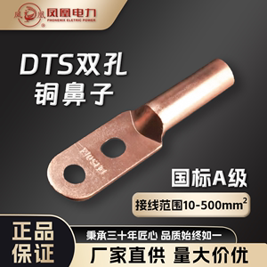 凤凰DT16S-500S平方双孔铜接线端子铜接头铜鼻子堵油式紫铜国标A