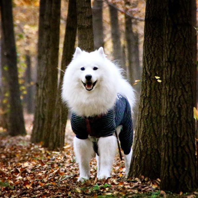 抖店多久起号 抖店如何起号