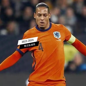 正品2024荷兰队球衣主场欧洲杯国家队客场4号范戴克21德容足球服