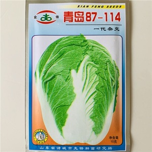 杂交大白菜种子 青岛87-114一代包头菜品质佳大田基地蔬菜种籽孑