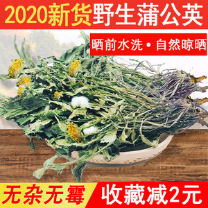 2020野生蒲公英 整株带根新鲜特级500g 正品天然婆婆丁茶公英花干