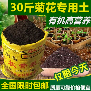 菊花专用营养土花土通用型家用养花种菜有机土泥炭土壤种植土绿萝