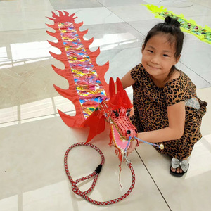 上海乐高儿童传统舞龙烫金布鳞片龙头健身龙带甩彩带节目表演道具
