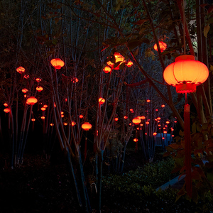 户外防水红灯笼新春过年树木装饰挂件led小彩灯闪灯串灯满天星灯