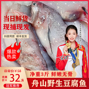 舟山龙头鱼新鲜鲜活九肚鱼冷冻丝丁鱼水潺豆腐鱼海鲜鲜鱼水产3斤