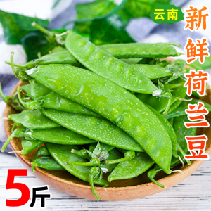 荷兰豆新鲜云南现摘甜脆青豆荚蔬菜净重5斤豌豆角农家豌豆四季豆