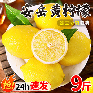 四川安岳黄柠檬新鲜无籽水果奶茶店专用香水柠檬一级果干商用批发