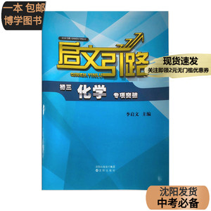 启文引路化学专项突破初三沈阳出版社李启文主编中考必备