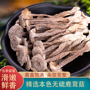 湖北鹿茸菇干货250g/袋无硫野生菌 特级土特产煲菌汤食材菌菇新货