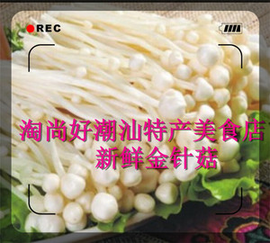 新鲜金针菇潮汕特产 蘑菇广东 美食金菇毛柄金钱菌智力菇新鲜蔬菜