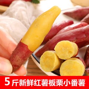 临安天目山小香薯3斤新鲜红薯板栗小番薯地瓜蕃薯小果金手指中果