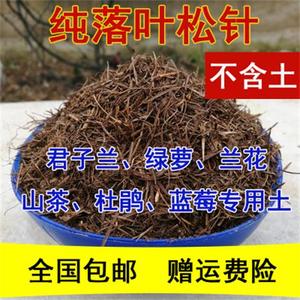 腐熟不含土酸性纯松针土腐叶土君子兰花植物蓝莓茶花杜鹃多肉月季