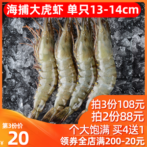 虎虾鲜活冷冻超大越南虎虾特大青岛大虾冻虾水产海鲜虾鲜活海捕虾