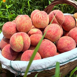 血桃5斤新鲜水果时令当季整箱大桃子红心毛桃孕妇脆桃应季水蜜桃