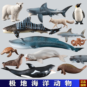 正版全新仿真动物模型玩具海洋动物海豚海龟鲸鱼鲨鱼