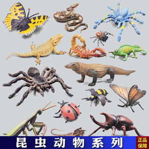 昆虫动物模型玩具儿童仿真蝴蝶螳螂独角仙甲虫蜘蛛爬行蜥蜴礼物