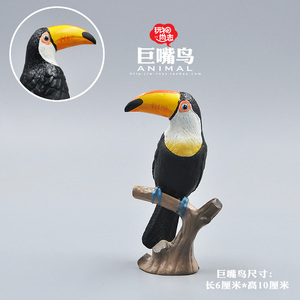 鸟类动物玩具模型 巨嘴鸟