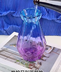 玻璃花瓶花器透明彩色水培植物瓶子客厅家用干花插花装饰简约摆件