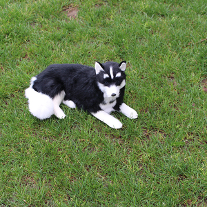 名犬白色灰色黑色哈士奇萨摩耶仿真动物模型家庭摆件宠物玩具包邮