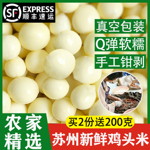 苏州特产新鲜鸡头米2023特大颗粒芡实即食鸡米头苏芡茨实包邮400g