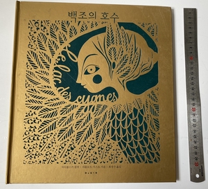 正版原版韩语Swans Lake天鹅湖 超美缕空剪纸页 插图艺术绘本故事