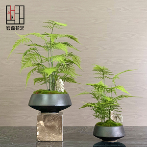 新中式花艺仿真绿植盆景样板房客厅售楼处玄关植物文竹盆栽摆件