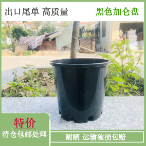 侧孔塑料花盆加厚高质量硬质加仑盆网底透气网红阳台种植特价包邮