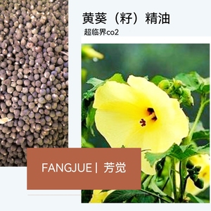 黄葵（籽）精油超临界提取真材实料中国产地品质芳觉原料