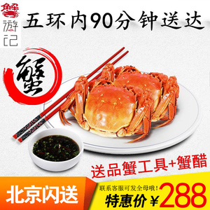 蟹游记 北京闪送螃蟹鲜活大闸蟹2.6-3.6两10只装可发全母
