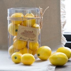 收获小屋仿真水果客厅家用摆设假柠檬创意拍摄道具模型水果店摆件
