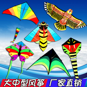 潍坊鸿运风筝新款飞机蛇彩虹金鱼蝴蝶老鹰成人大型儿童风筝的包邮