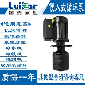LDPB1-15 -20睿嘉LuiKar线切割机床冷却侵入式循环油泵 ROCOI水泵