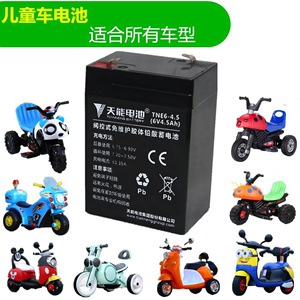 儿童摩托车6v4电瓶充电甲壳瓢虫车小三轮6v4.5ah儿童电动车蓄电池