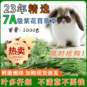 23年新草 龙猫干草苜蓿草兔兔食物荷兰猪豚鼠兔粮兔子干草毛重1kg