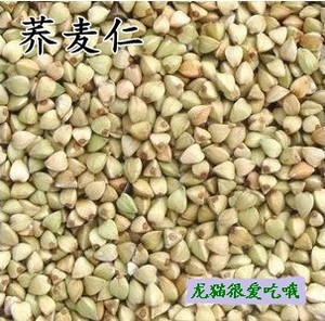 优质天然荞麦仁50g 五谷杂粮补充蛋白质及钙质 仓鼠粮 龙猫零食