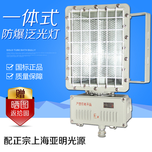 防爆投光灯BAT51-250W400W工厂厂房一体路灯泛光灯隔爆型防爆灯具